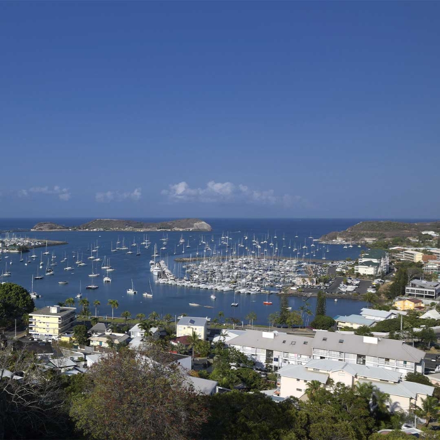 A city with many boats in the water